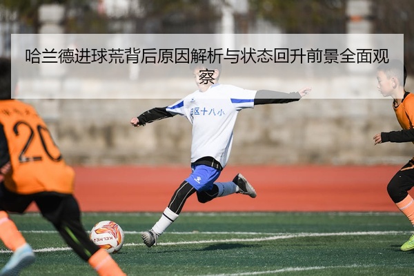 img_1777186769457_167_2_893.jpg