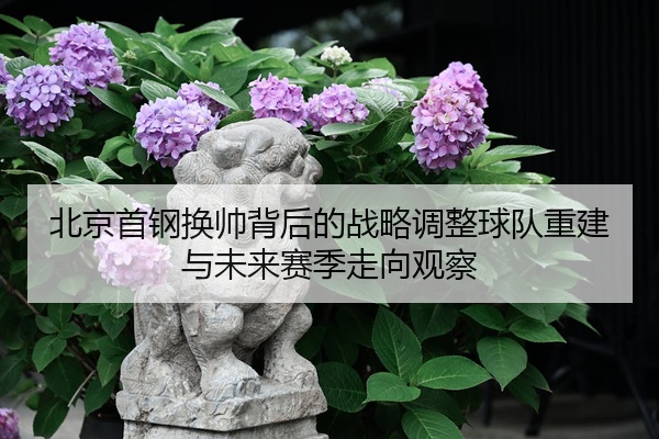 img_1777352194605_93_0_466.jpg